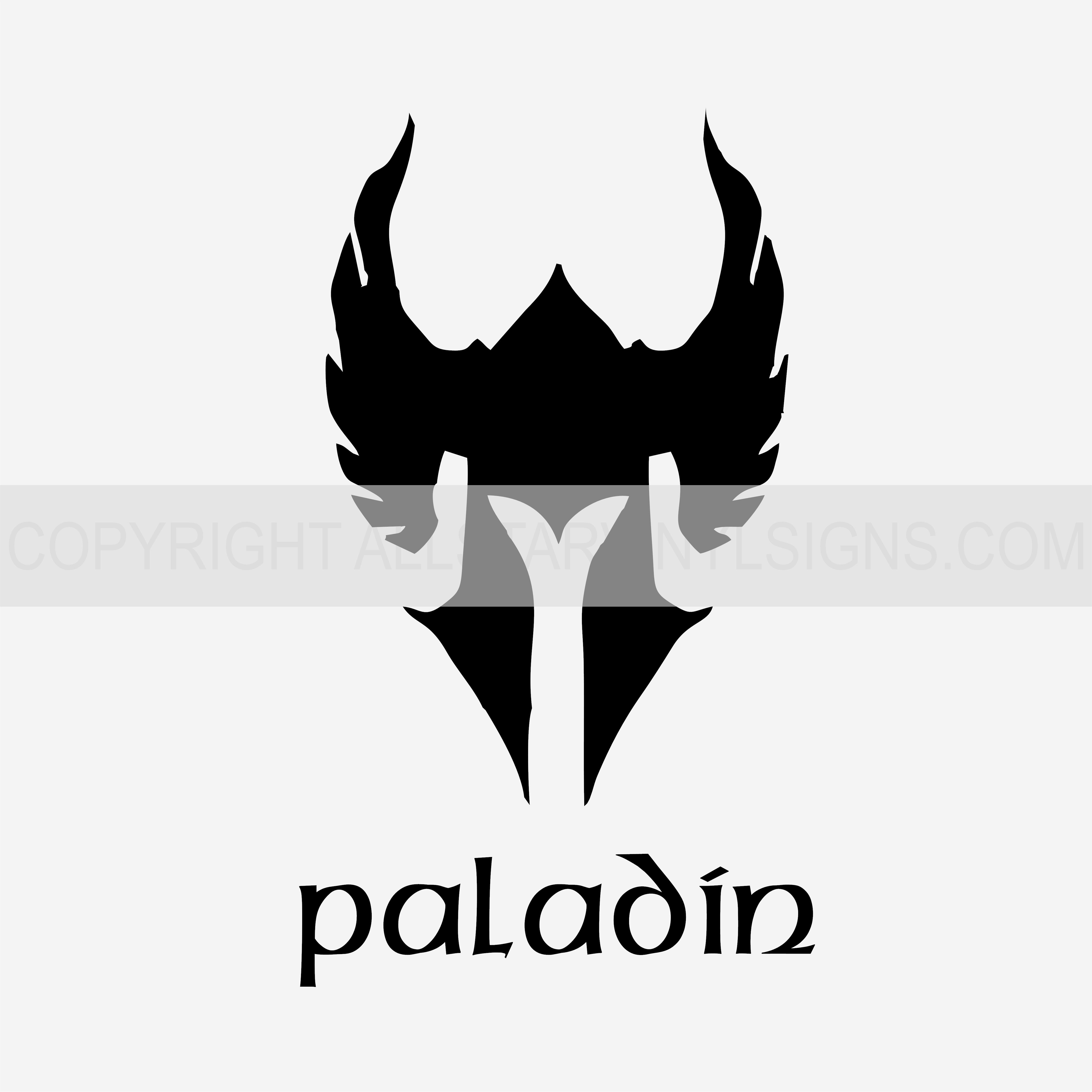 PALADIN - DND CLASS